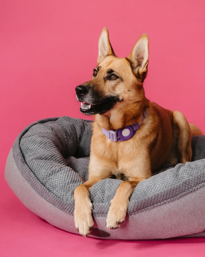Chester Lee furry bagel donut dog bed cozy plush premium comfort all breeds