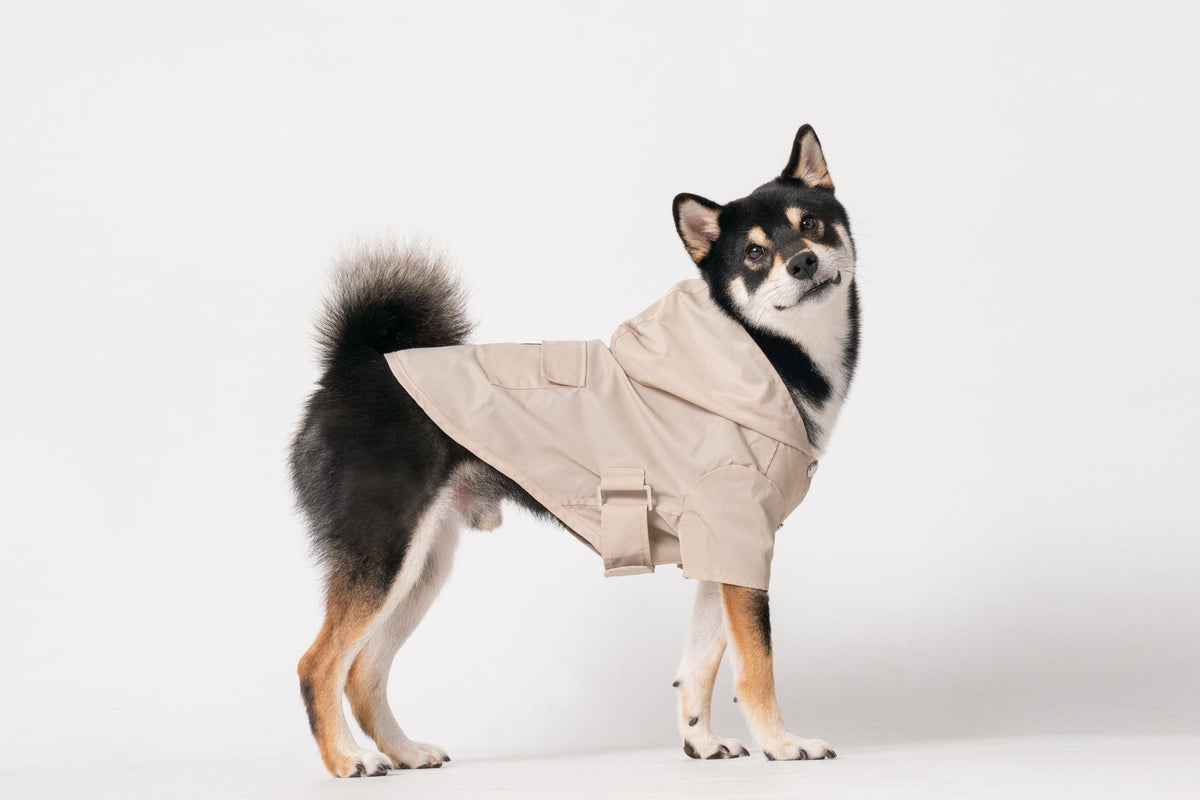 Bowery beige water-repellent dog raincoat with logo snap closure gunmetal hardware adjustable velcro
