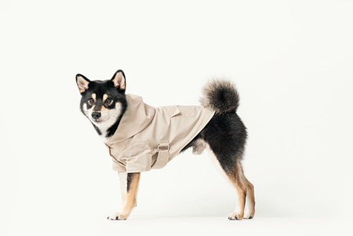 Bowery beige water-repellent dog raincoat with logo snap closure gunmetal hardware adjustable velcro