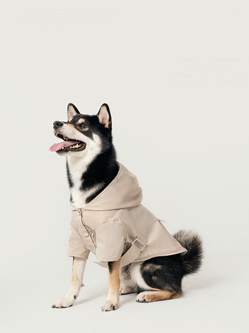 Bowery beige water-repellent dog raincoat with logo snap closure gunmetal hardware adjustable velcro