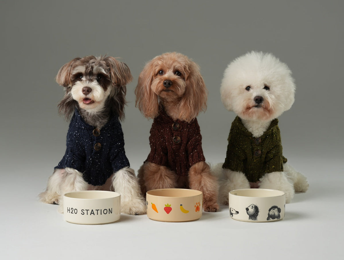 GLACIER PET SWEATER - BURGUNDY