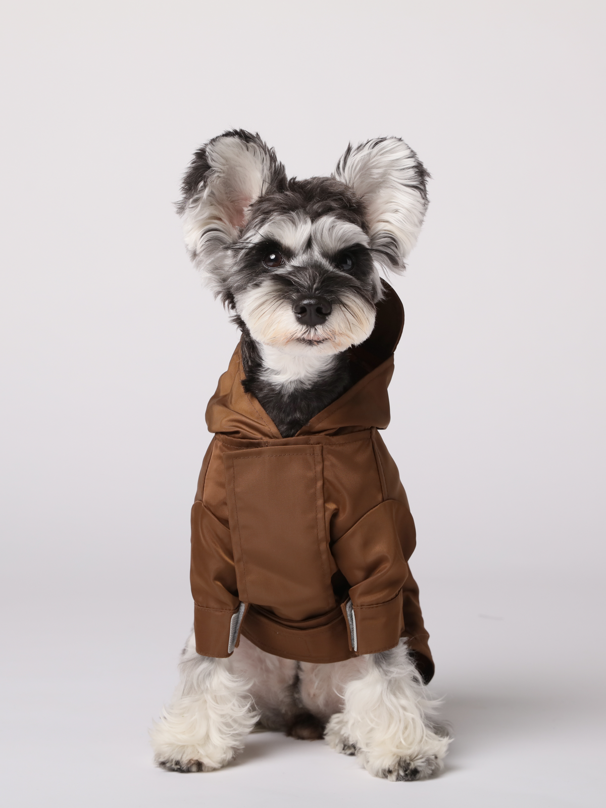 Tribeca chocolate waterproof dog raincoat convertible hood all velcro closure wrap cuff leash hole vent