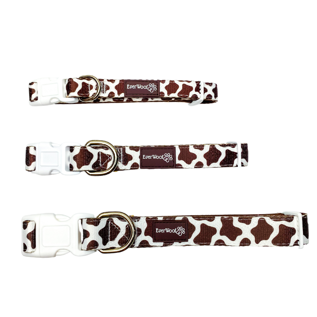 Three cow print dog collars with gold buckles on a white background