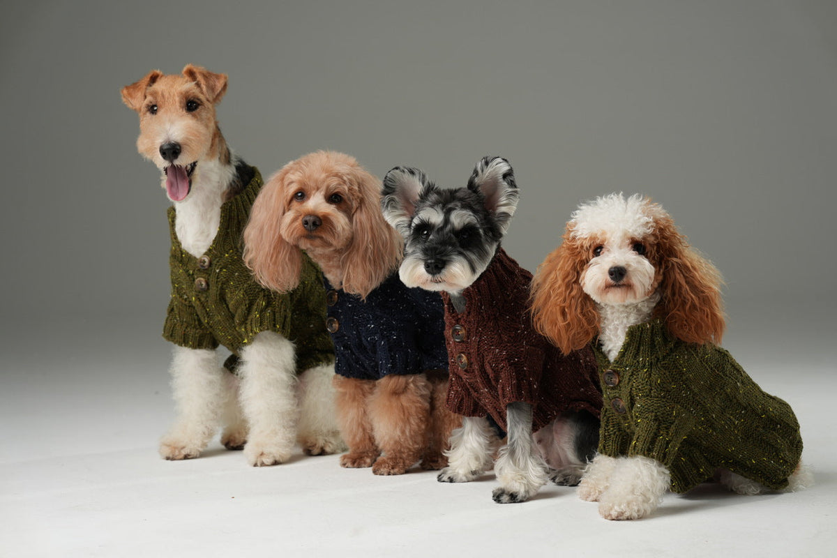 Four dogs wearing knitted sweaters on a gray background