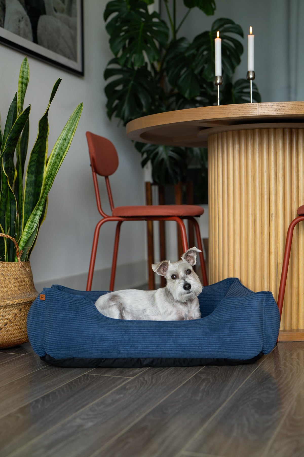 Fancy Corduroy Sleeper Dog Bed Blue