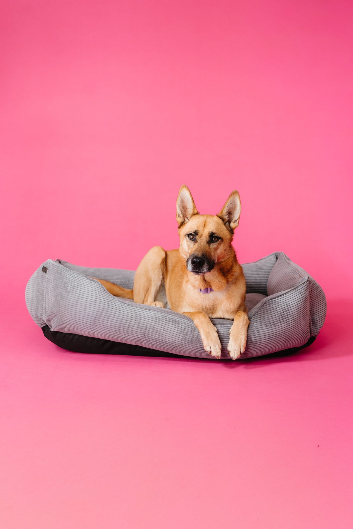 Chester and Lee gray fancy corduroy sleeper dog bed luxury premium pet bed