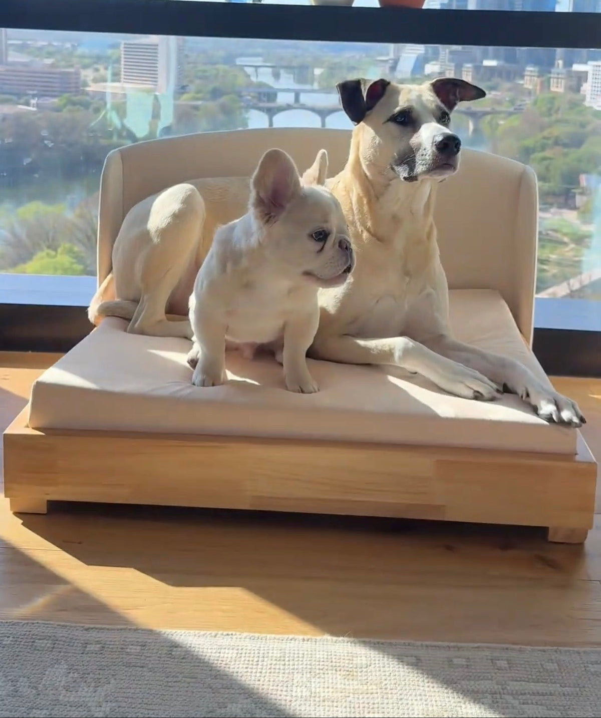 The Haven luxury handcrafted solid hardwood dog bed orthopedic memory foam waterproof washable cover