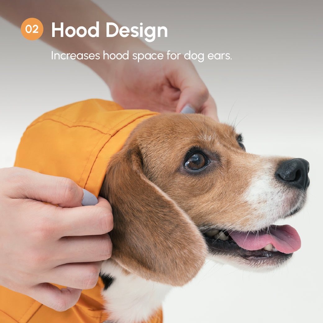Bowery beige water-repellent dog raincoat with logo snap closure gunmetal hardware adjustable velcro
