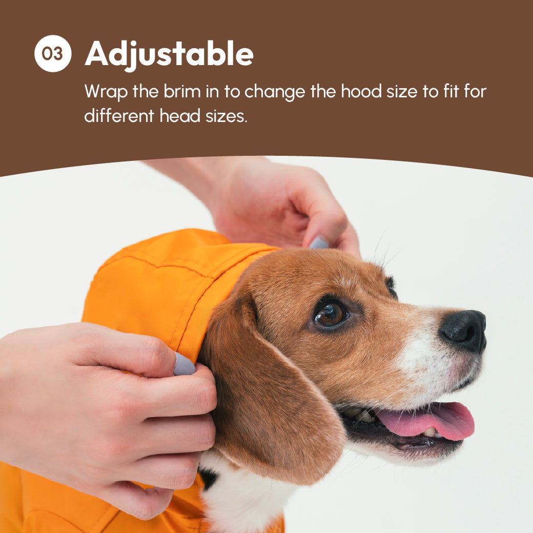 Dog wearing an orange hood with hands adjusting it on a white background