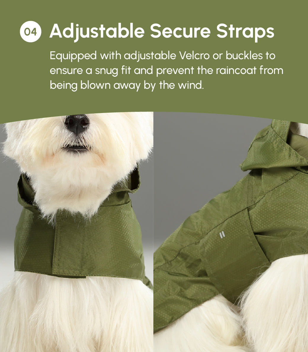 Dog wearing a green raincoat with adjustable secure straps on a gray background