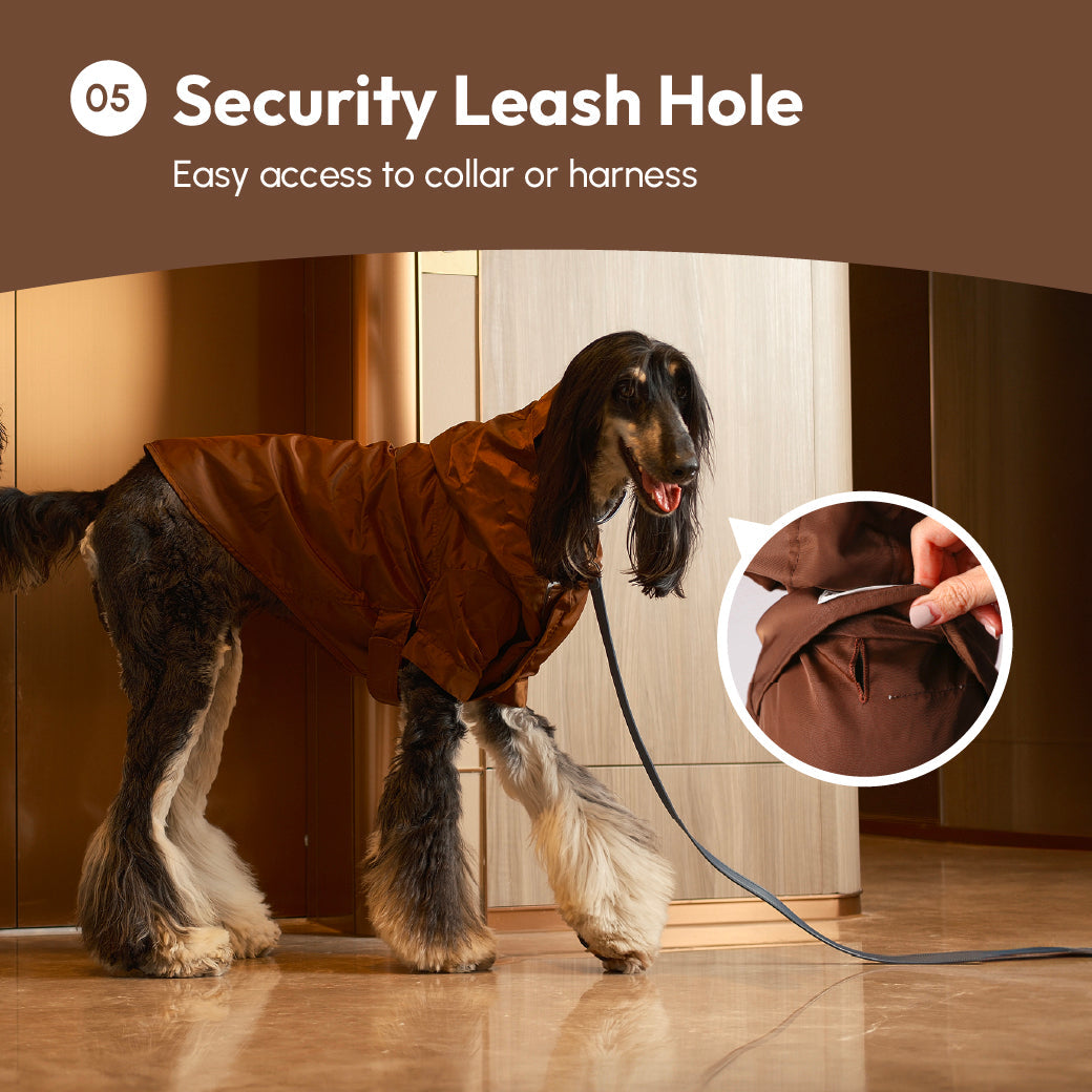 Dog wearing a brown coat with a security leash hole feature, indoors.