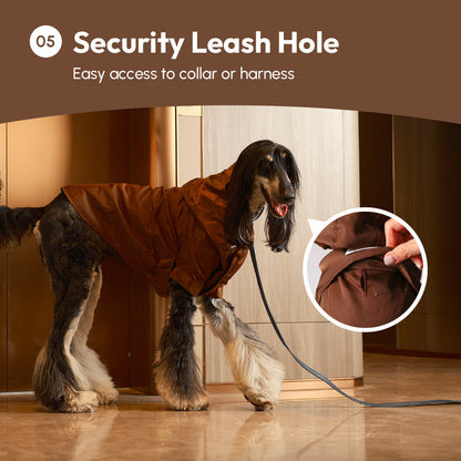 Dog wearing a brown coat with a security leash hole feature, indoors.