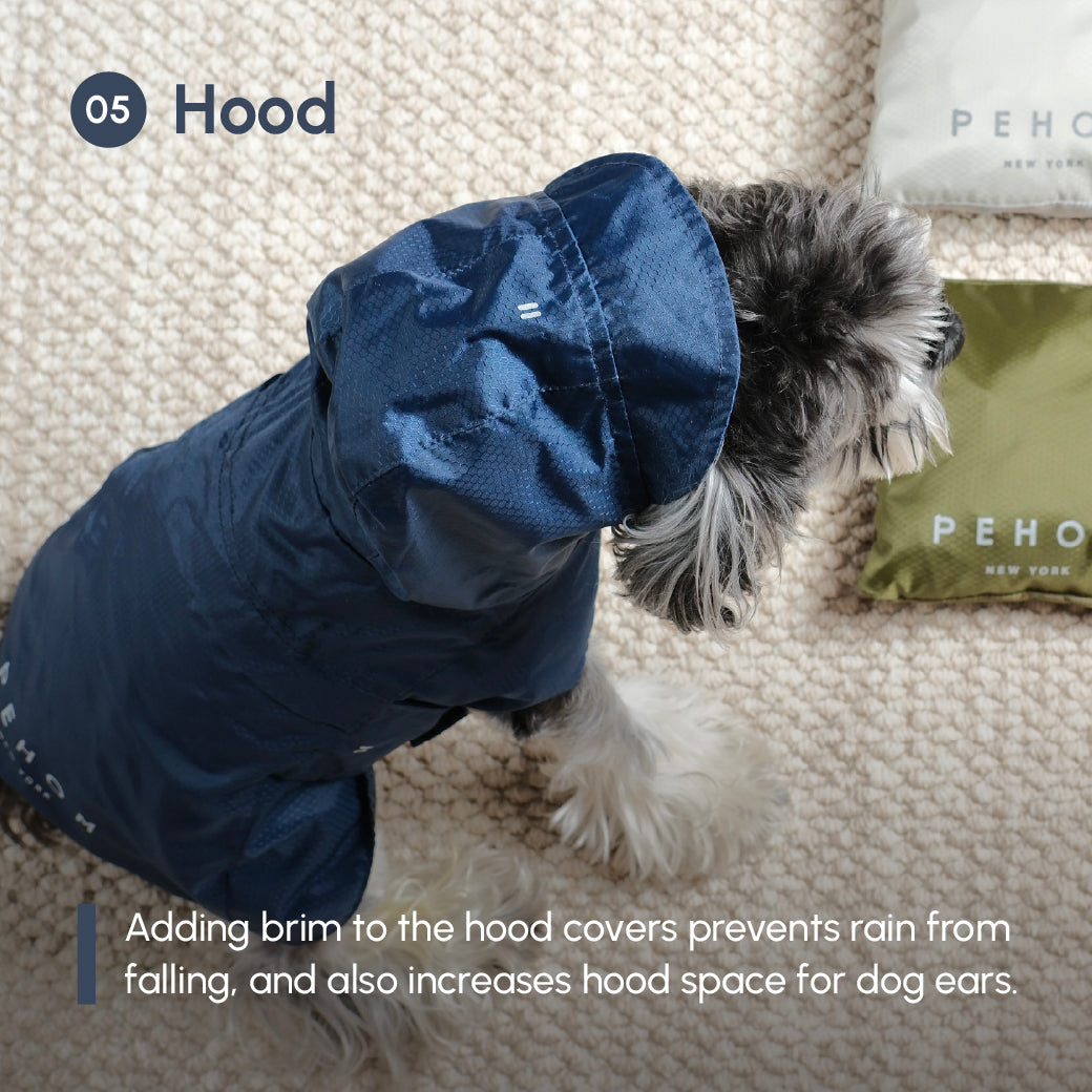 Dog wearing a blue raincoat with a hood, sitting on a carpeted floor.