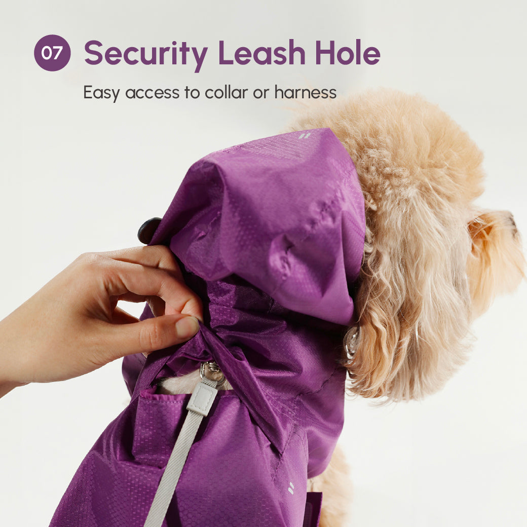 Purple dog raincoat with a security leash hole being adjusted on a dog, with text indicating easy access to collar or harness.