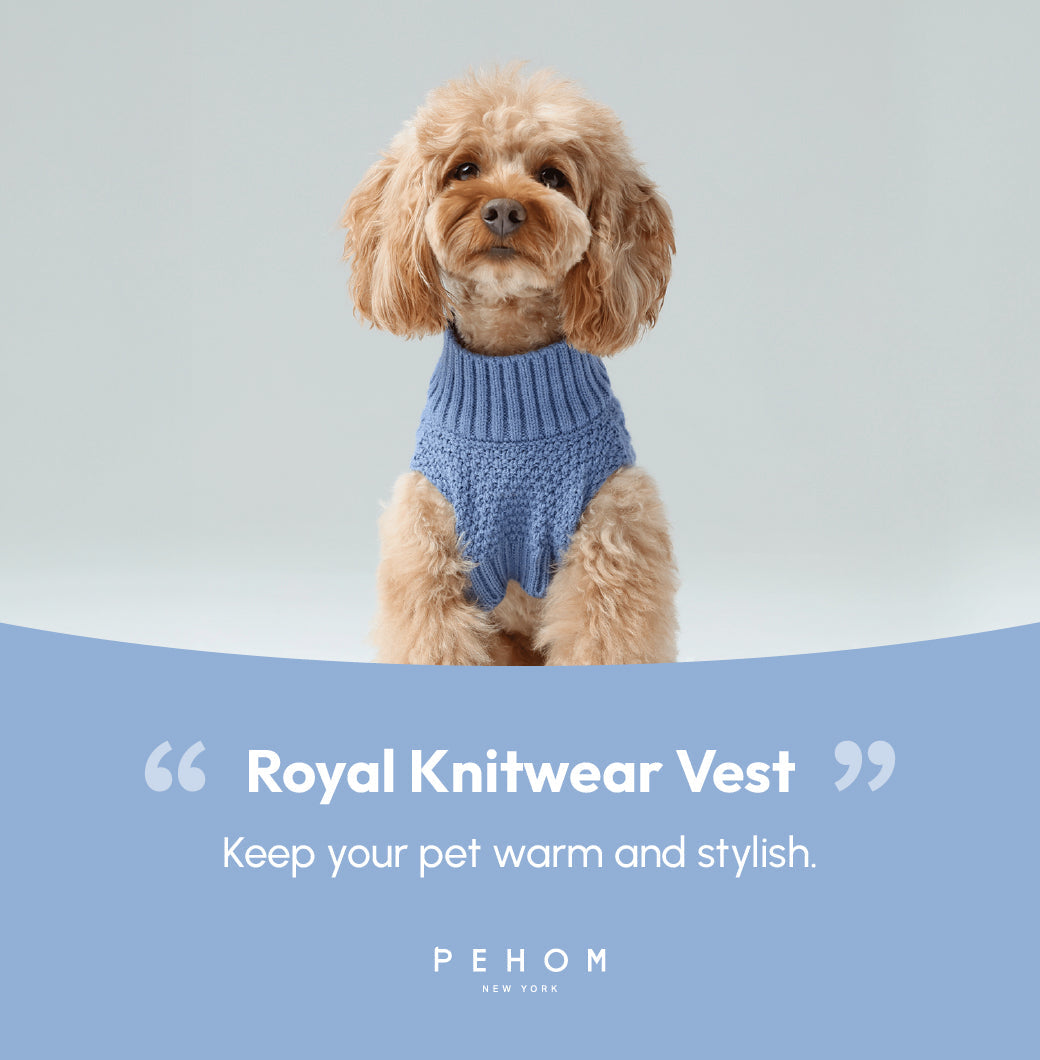 Pet Sweater Vest - Ice Blue