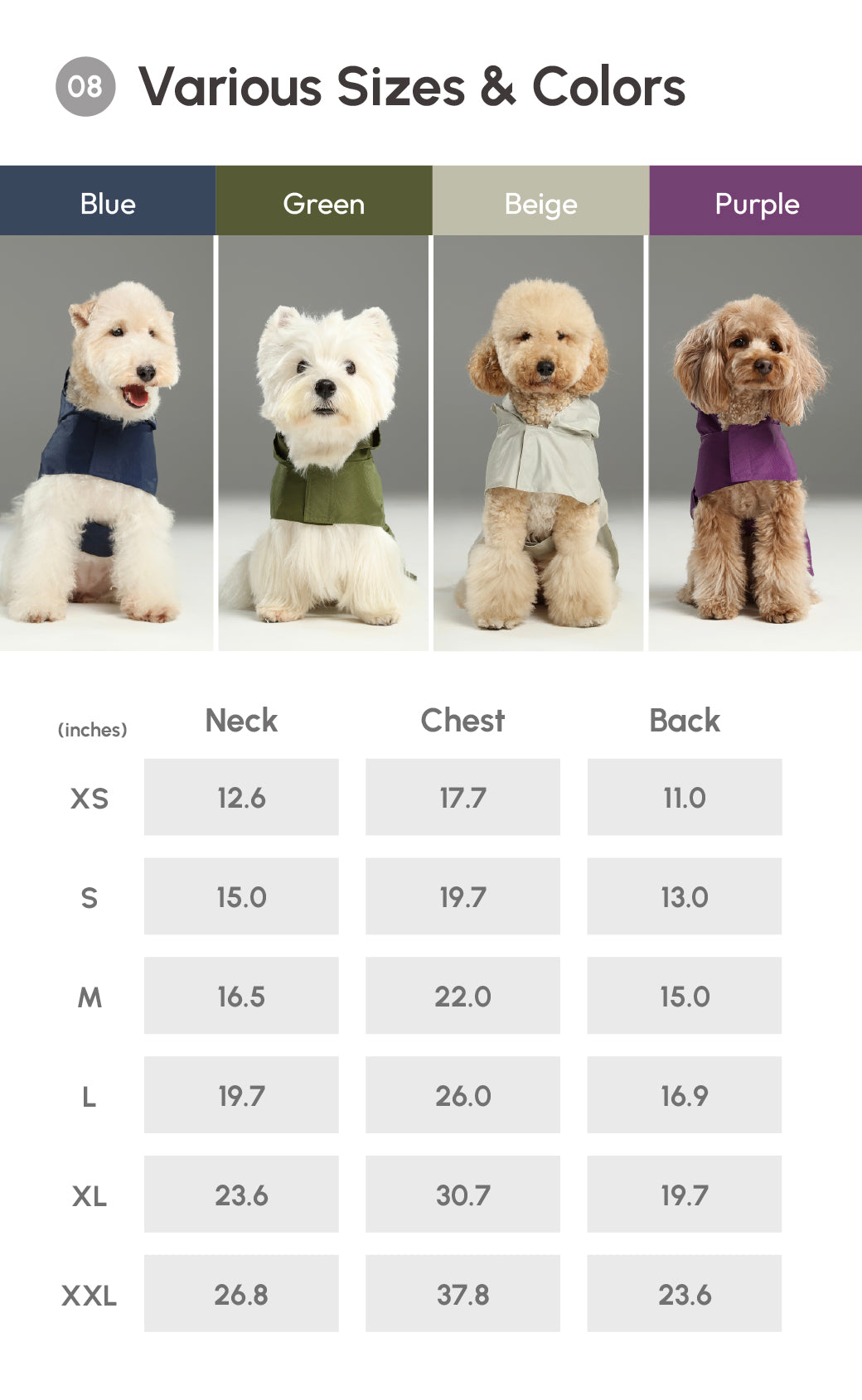 Dog clothing size chart with four dogs wearing different colored shirts on a gray background.