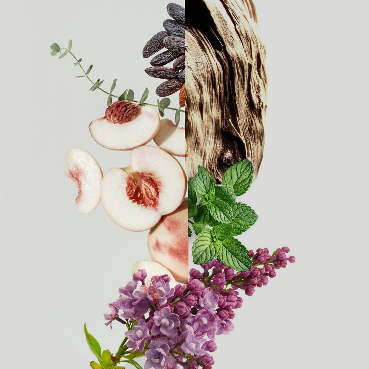 Collage of peaches, dark berries, a leafy plant, and purple flowers on a light gray background.
