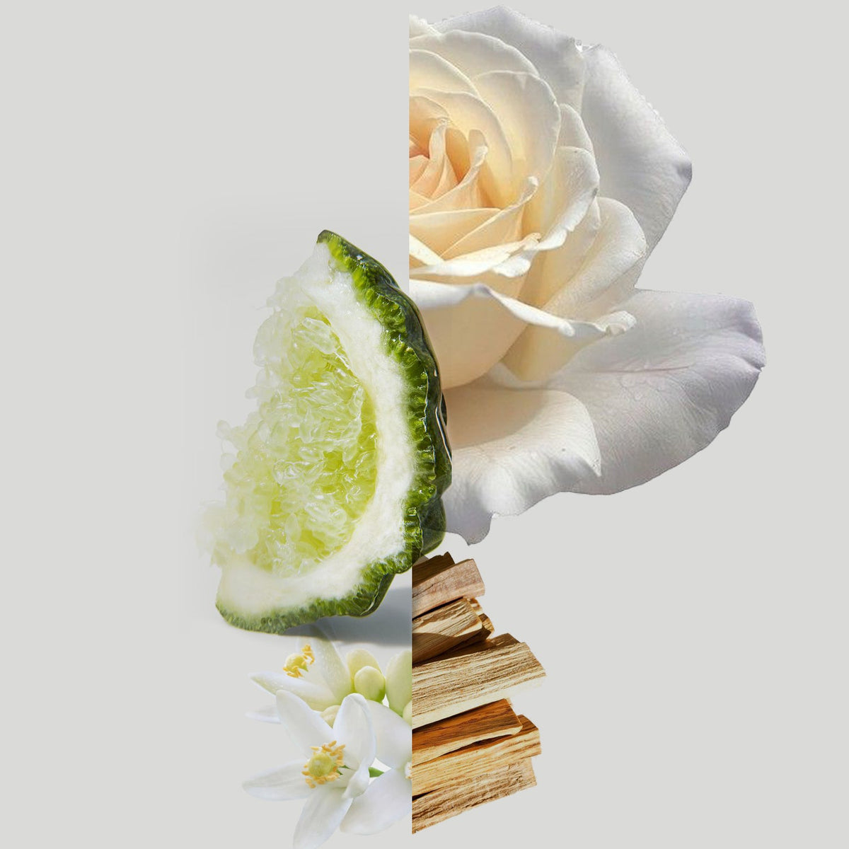 Bliss reed diffuser iconic luxury hotel home fragrance citrus floral musk sandalwood