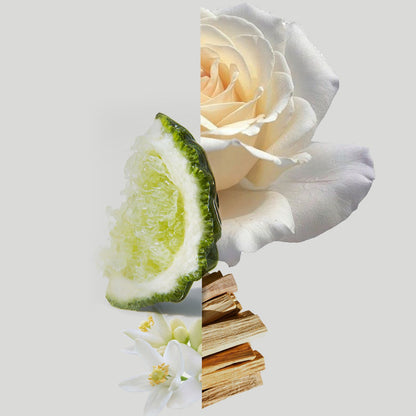 Bliss reed diffuser iconic luxury hotel home fragrance citrus floral musk sandalwood