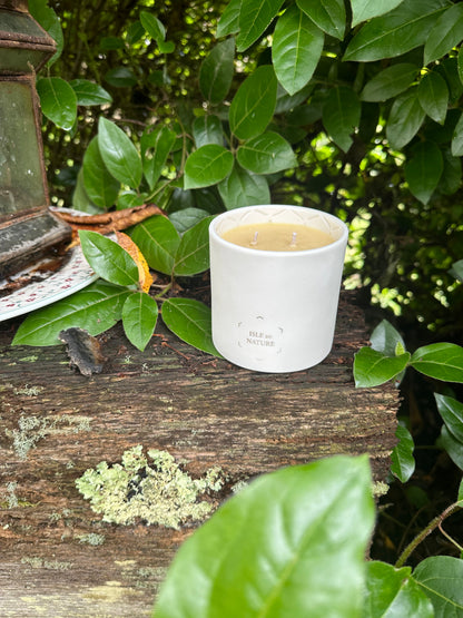 Pagua Bay handcrafted luxury beeswax candle with reusable vessel Caribbean inspired fragrance