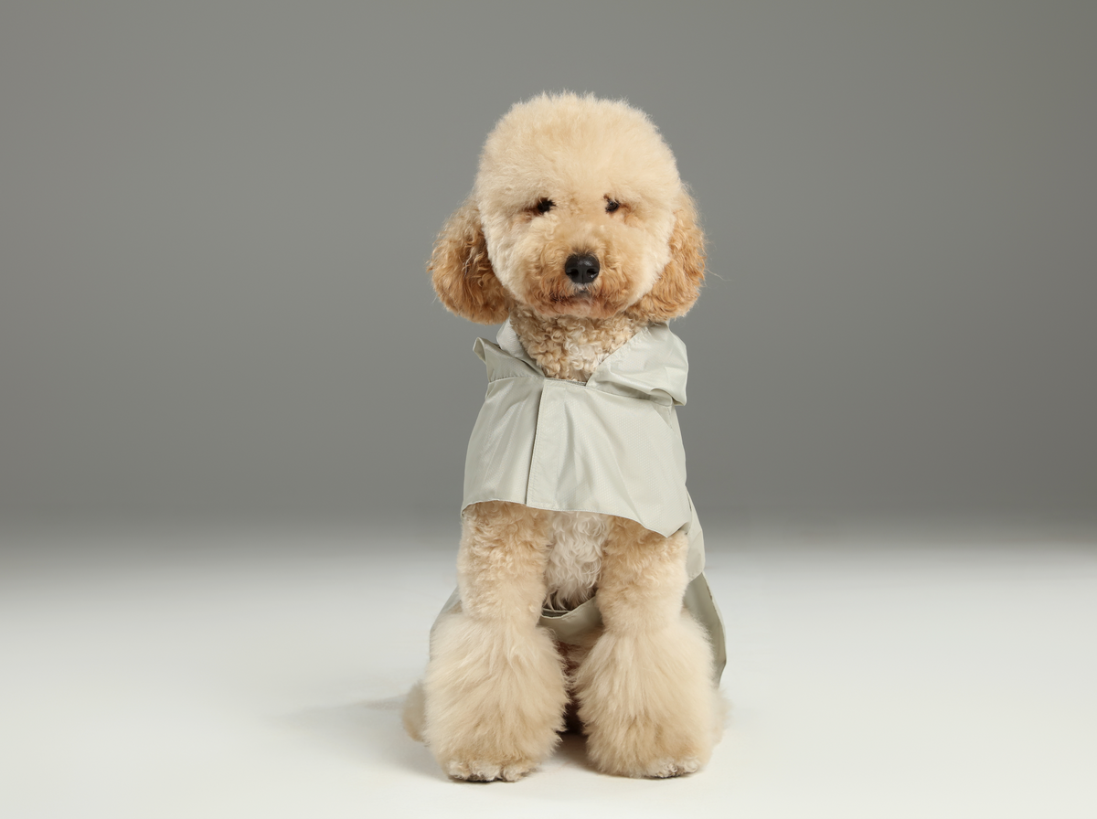 Beige capsule waterproof foldable dog raincoat cloak design with reflective strips adjustable straps