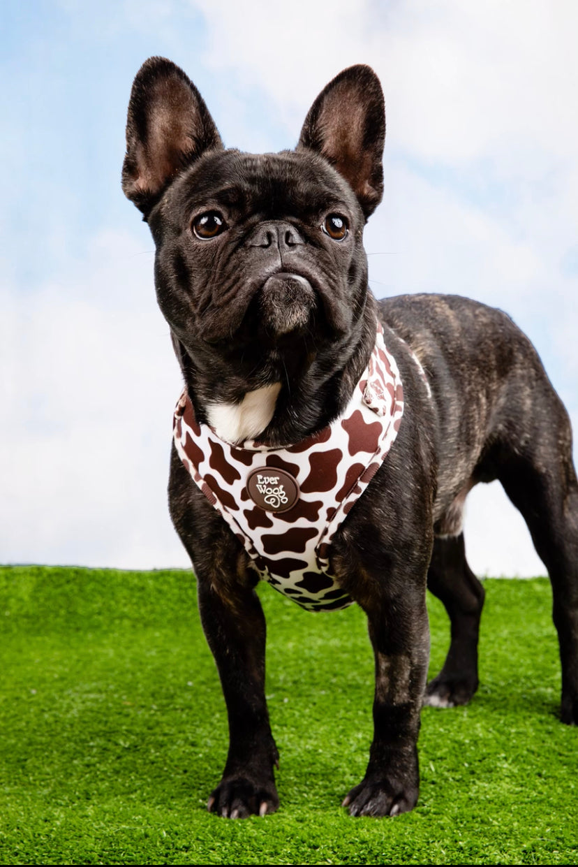 Chocolate cow print adjustable no pull dog harness secure comfortable fit