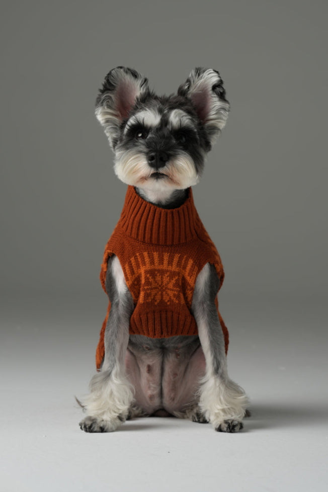 Pretzel Pet Sweater - Toffee Orange