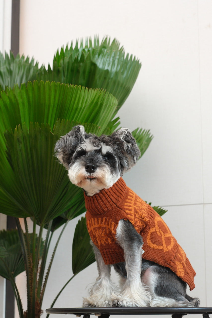 Pretzel Pet Sweater - Toffee Orange