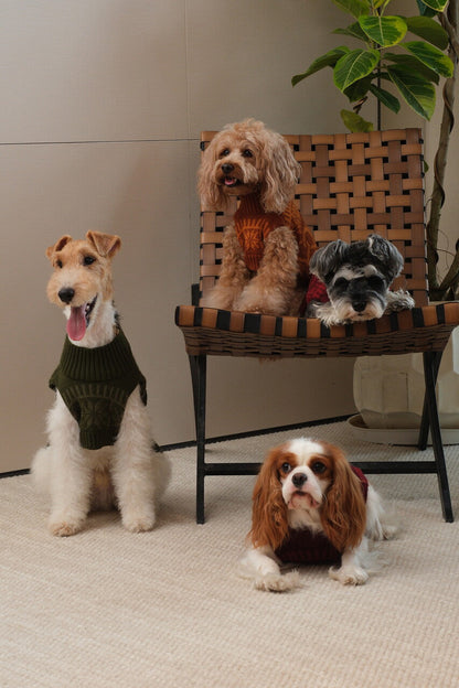Pretzel Pet Sweater - Burgundy Red